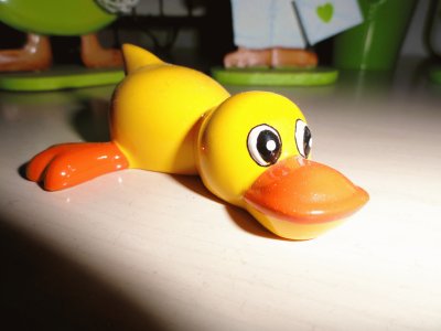 פאזל של canard