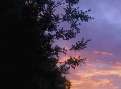 sunset 5