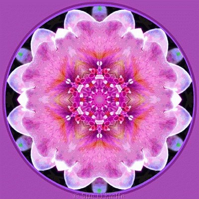 mandalas