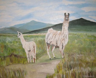 LLAMAS jigsaw puzzle