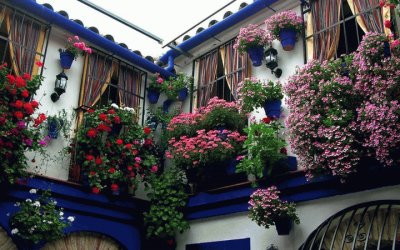 vivienda floral