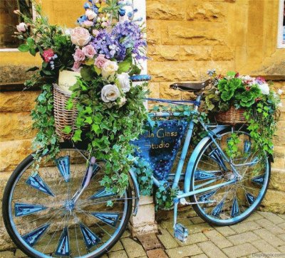 macetero de bicicleta jigsaw puzzle