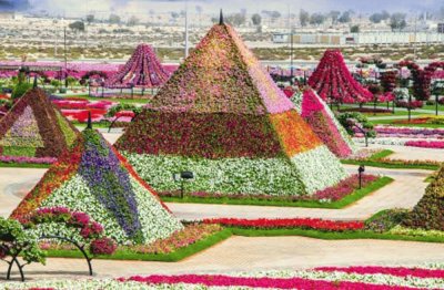 פאזל של piramides con flores