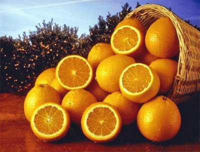 canasto de naranjas
