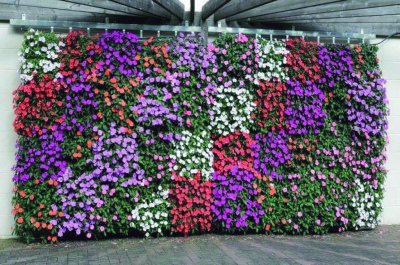 muro floral