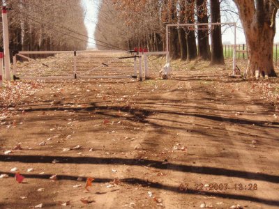 camino jigsaw puzzle