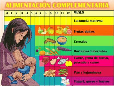ALIMENTACIÃ“N COMPLEMENTARIA 2 jigsaw puzzle