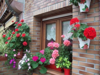 פאזל של casa con flores2