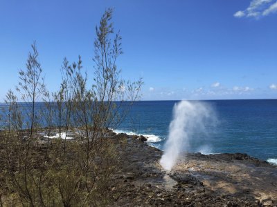 hawaii jigsaw puzzle