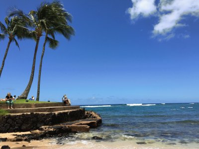 hawaii jigsaw puzzle