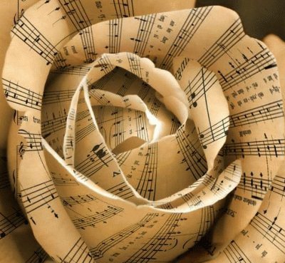 ROSA MUSICAL