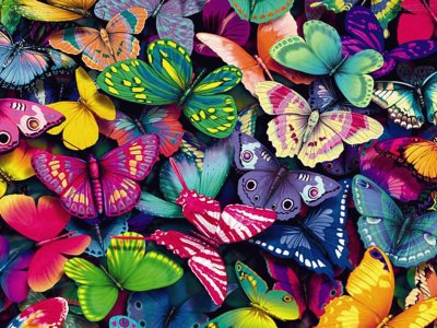 פאזל של borboletas