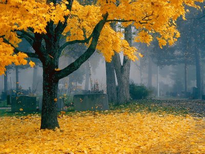 Natureza