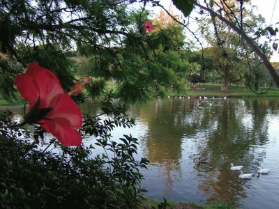 Lago CentenÃ¡rio jigsaw puzzle