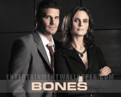 Bones jigsaw puzzle