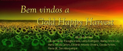 capa gold 3