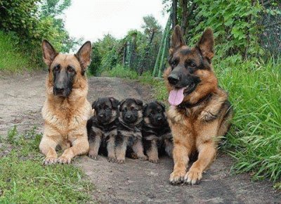 lovely family