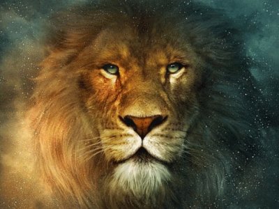 Mi leÃ³n preferido