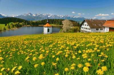 Natureza