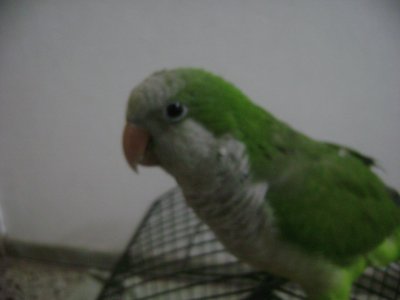 rociomatias