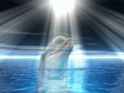 DIOS DA LUZ A LOS DELFINES