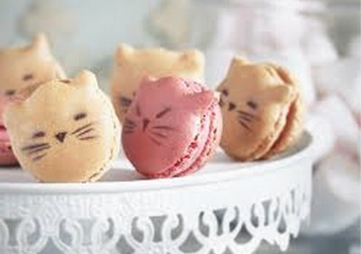 macaron