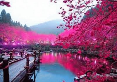 nature