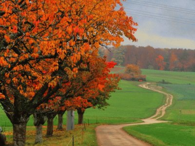 automne