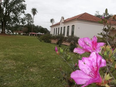 En San Ignacio. Misiones. Argentina