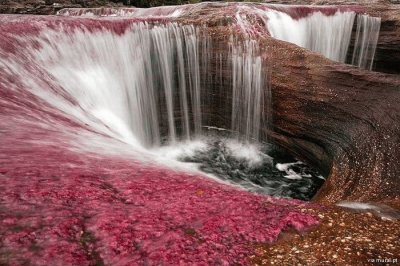 פאזל של Cascata