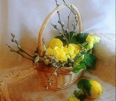 spring-97