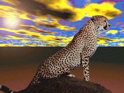 Leopardo jigsaw puzzle