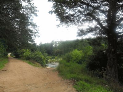 costanera en Intiyaco