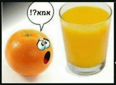 ×ž×™×¥