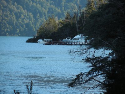 Lago Futalauquen jigsaw puzzle