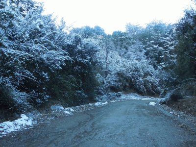 פאזל של Invierno