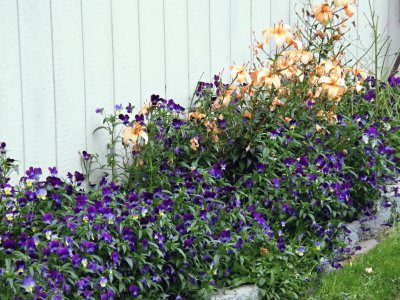 Backyard Flowers jigsaw puzzle