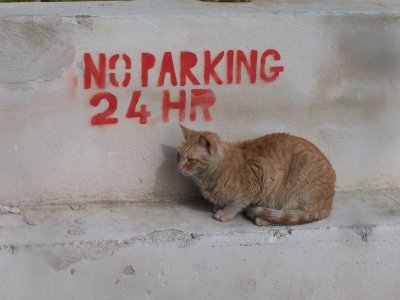 No parking