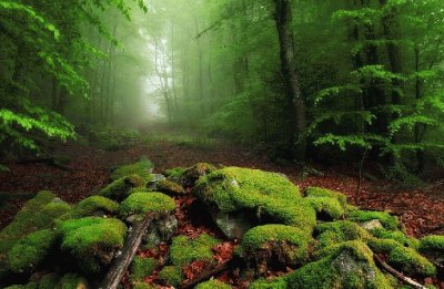 paisajes
