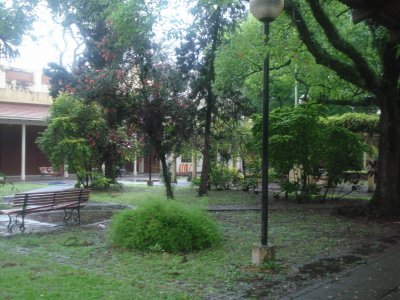 jardÃ­n museo UNT tucumÃ¡n Argentina