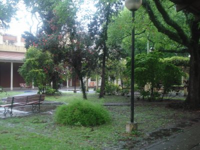 jardÃ­n museo UNT tucumÃ¡n Argentina