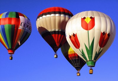 mongolfiera 16