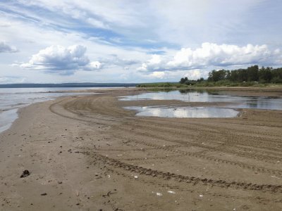 Marten River Delta