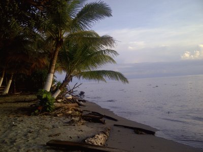 Belleza Tropical