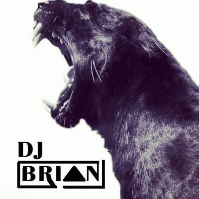brian pyges