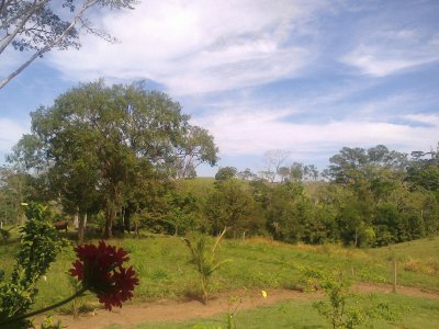 Leidy Ane Lovo