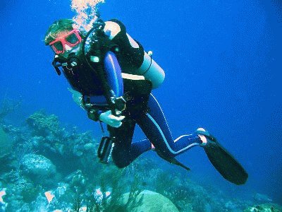 פאזל של Buceo en Los Roques