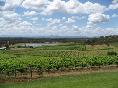 Hunter Valley Wine country jigsaw puzzle