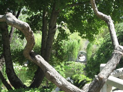 Japanese Garden, Sydney jigsaw puzzle