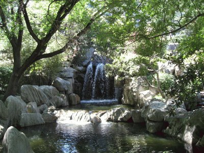 Japanese Garden, Sydney jigsaw puzzle